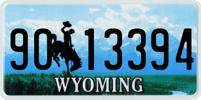 WY license plate 9013394