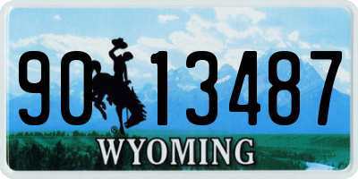 WY license plate 9013487