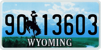 WY license plate 9013603