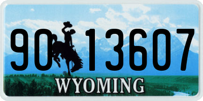 WY license plate 9013607