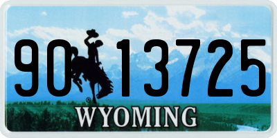 WY license plate 9013725