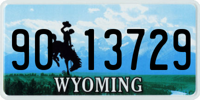WY license plate 9013729