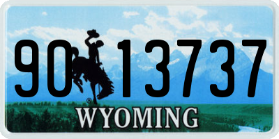 WY license plate 9013737