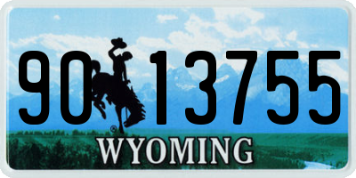 WY license plate 9013755