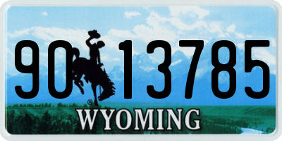 WY license plate 9013785