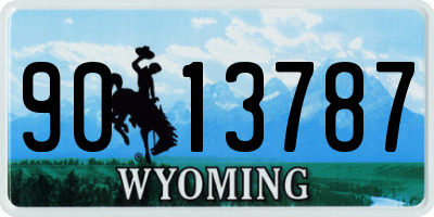 WY license plate 9013787