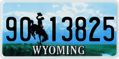 WY license plate 9013825