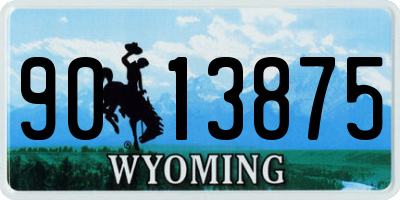 WY license plate 9013875