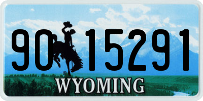 WY license plate 9015291