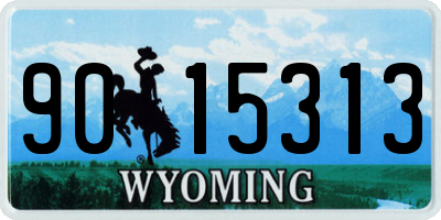 WY license plate 9015313