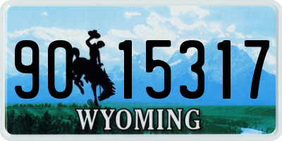 WY license plate 9015317