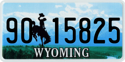 WY license plate 9015825