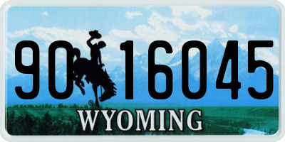 WY license plate 9016045