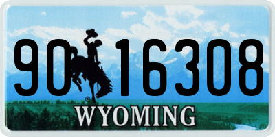 WY license plate 9016308