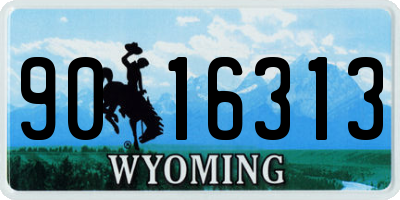 WY license plate 9016313