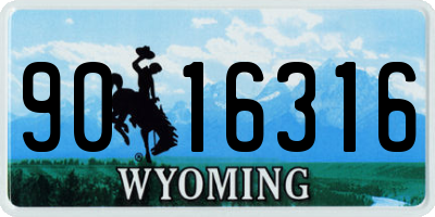 WY license plate 9016316