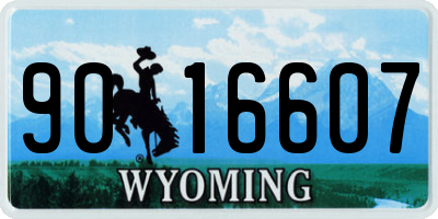 WY license plate 9016607
