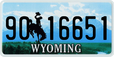 WY license plate 9016651