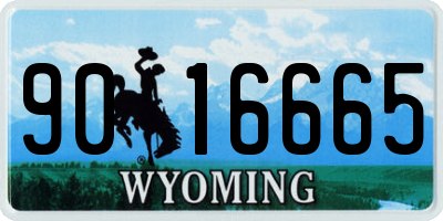 WY license plate 9016665