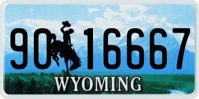 WY license plate 9016667