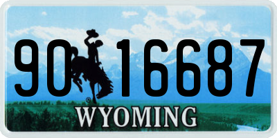 WY license plate 9016687