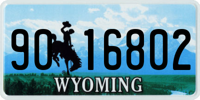 WY license plate 9016802
