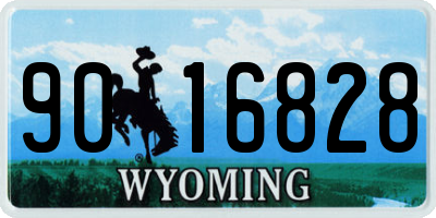 WY license plate 9016828
