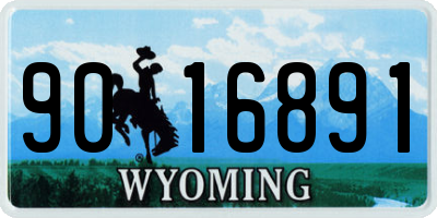 WY license plate 9016891