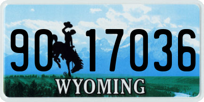 WY license plate 9017036