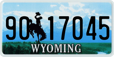 WY license plate 9017045
