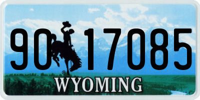 WY license plate 9017085