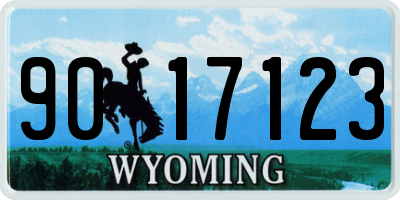 WY license plate 9017123