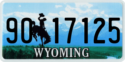 WY license plate 9017125