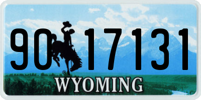 WY license plate 9017131
