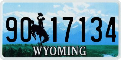 WY license plate 9017134