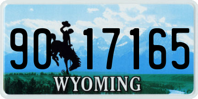 WY license plate 9017165