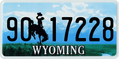 WY license plate 9017228