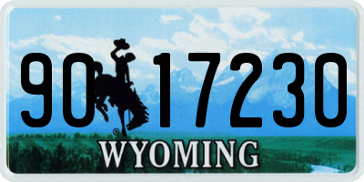 WY license plate 9017230