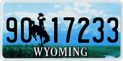 WY license plate 9017233