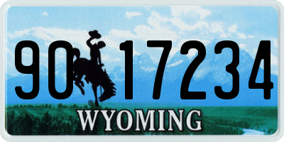 WY license plate 9017234