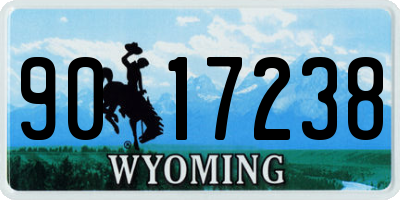 WY license plate 9017238