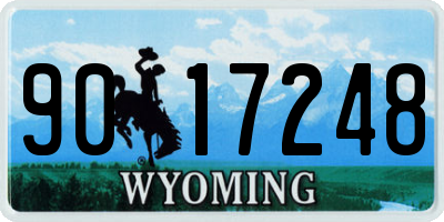 WY license plate 9017248