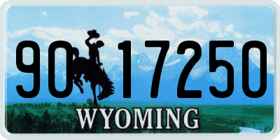 WY license plate 9017250