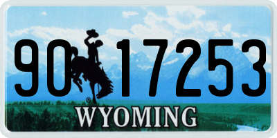 WY license plate 9017253