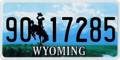 WY license plate 9017285