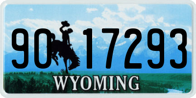 WY license plate 9017293