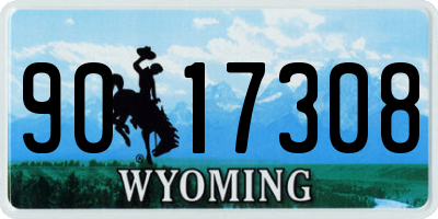 WY license plate 9017308