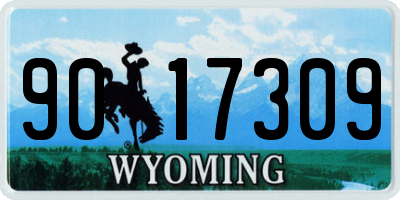 WY license plate 9017309