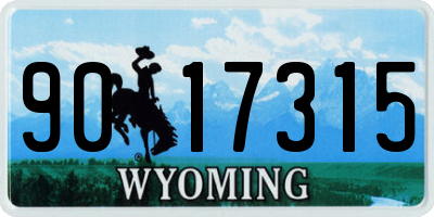 WY license plate 9017315