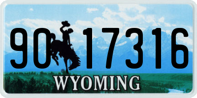 WY license plate 9017316